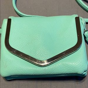 Mint Green Purse